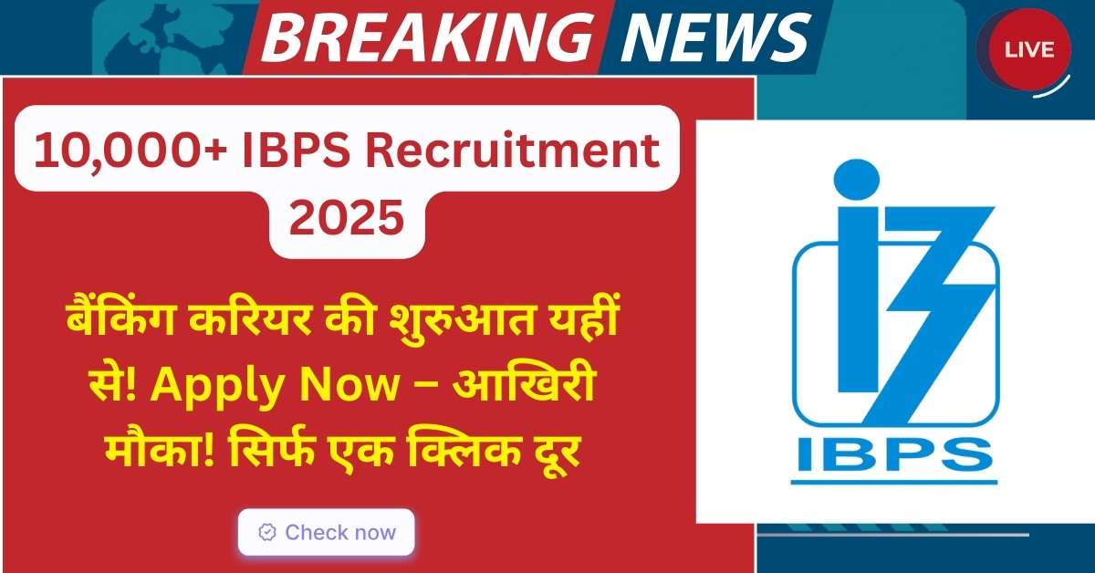 IBPS Recruitment 2025